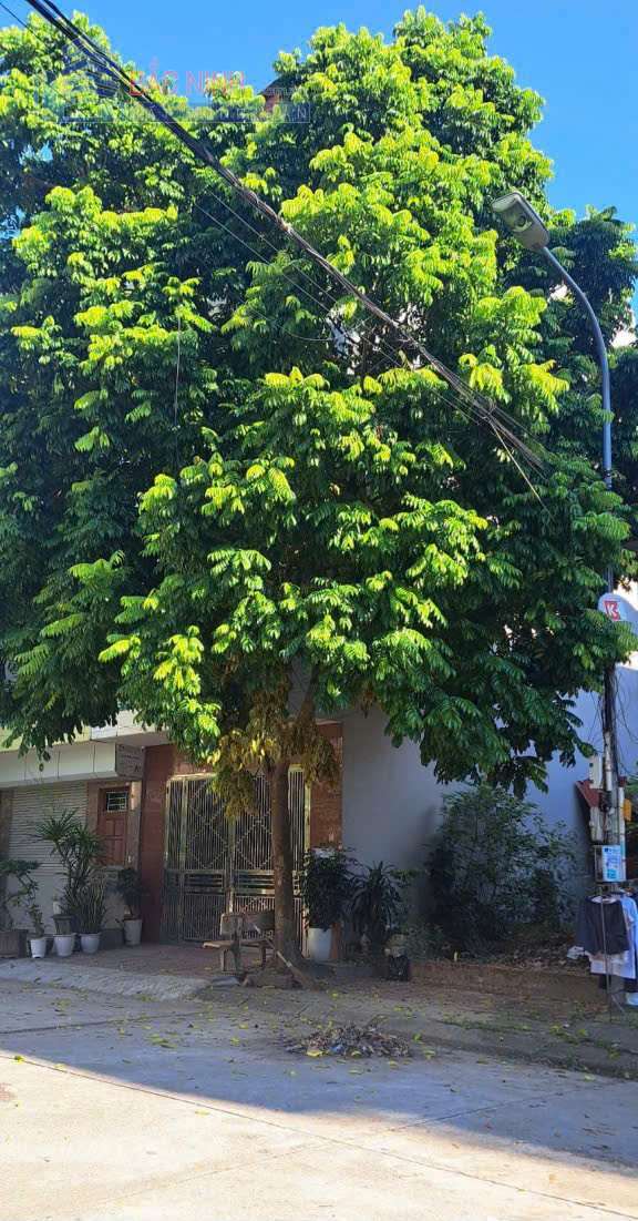 bán đất bìa đỏ giãn dân khu 9 đại phúc thành phố Bắc Ninh